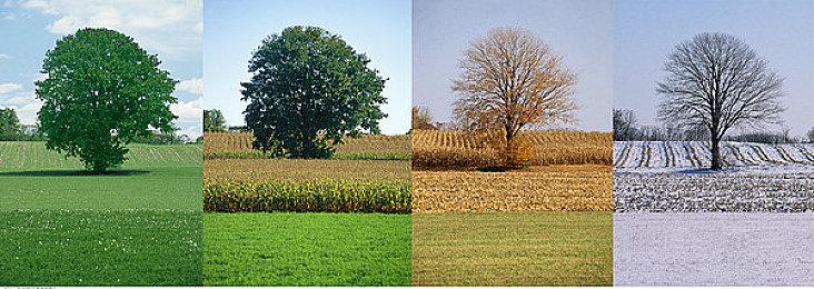 《文明6》发布领袖季票 永乐大帝朱棣展示视频